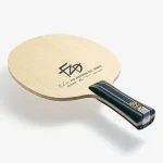 فن ژندونگ ZLC - تصویر 4